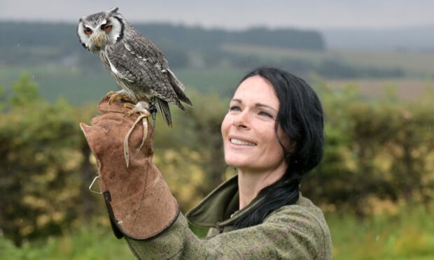 Gayle meets white-faced scops owl, Lana, at Speyside Falconry.