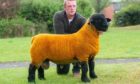 David Moir with the 5,000gn Cairness ram lamb.