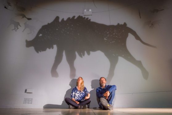 Zoe Walker and Neil Bromwich created Shadow World. Pictures: Steve MacDougall/DCT Media.