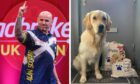 Alan Soutar gets just as much joy from raising guide dogs as winning at darts