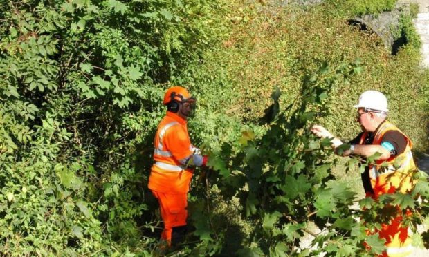 Workers cut vegetation from a section of track