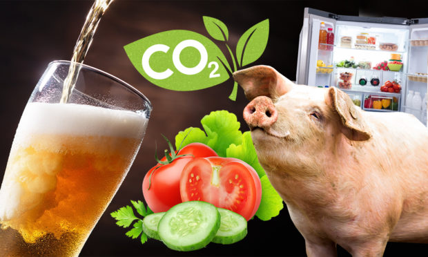 Some of the areas of the food and drink industry impacted by the CO2 shortage.