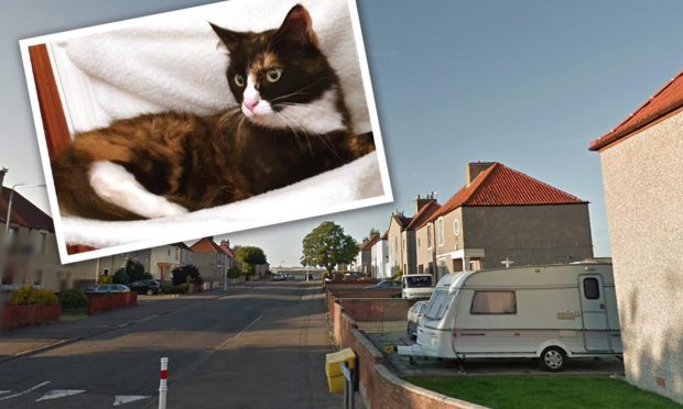 Lily died near her home in Methilhill.