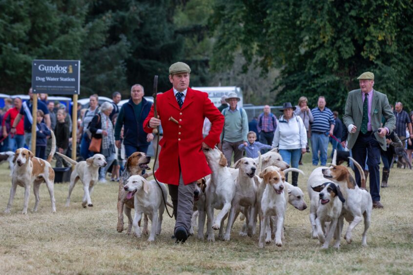 Thousands turned out for the Scottish Game Fair.