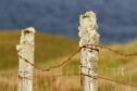 HELPING HAND: More must be done by the Crofting Commission to highlight the best options available to those passed a crofting tenancy.