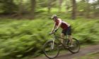 'Unauthorised' mountain bike trails can cause problems in woodlands.