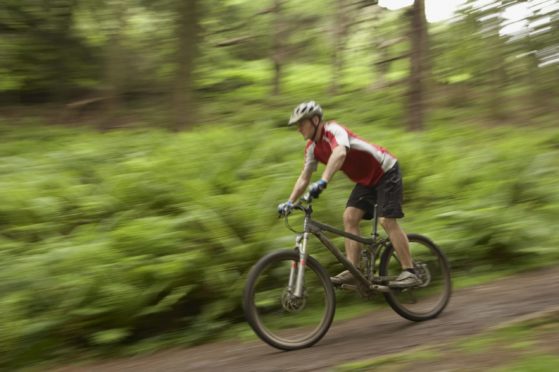 'Unauthorised' mountain bike trails can cause problems in woodlands.