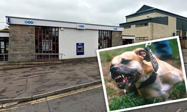 The pensioner was attacked by a Staffordshire bull terrier at the cash line in Kirkcaldy.