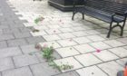 The flowers scattered on East High Street after the vandals struck
