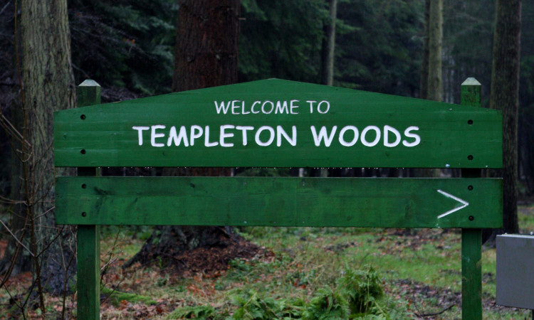 Templeton Woods in Dundee.