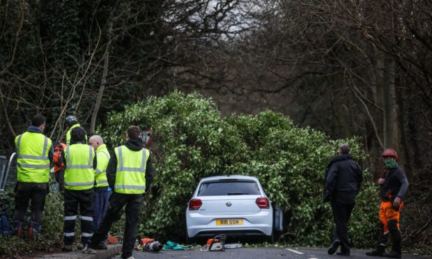 Ross Nicholson had to crawl to safety after a tree collapsed on the car. (Picture: Mhairi Edwards/DCT Media)