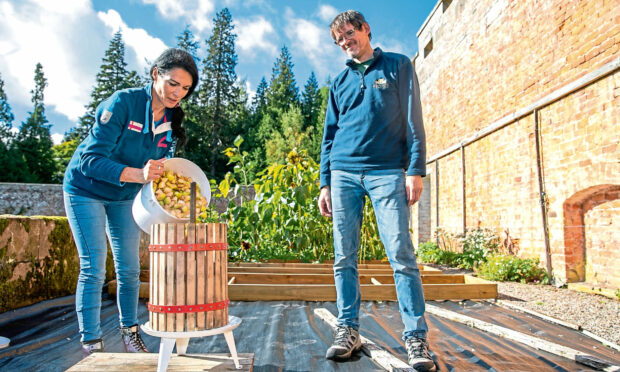 Glamis Castle's head gardener Des Cotton watches as Gayle fills an apple press. Picture: Kim Cessford.