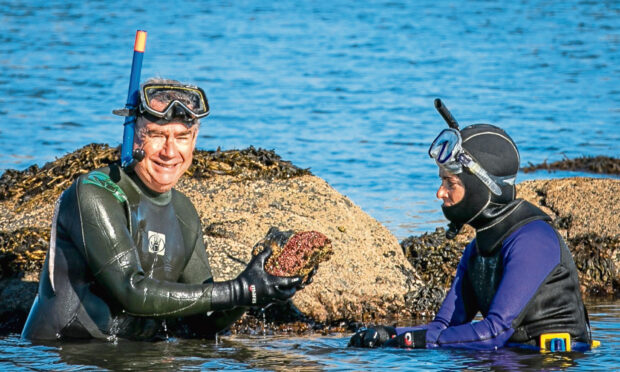 Keith Broomfield shows Gayle Ritchie a rock covered with pink encrusting corraline algae when the pair go snorkelling. Picture: Steven Brown.