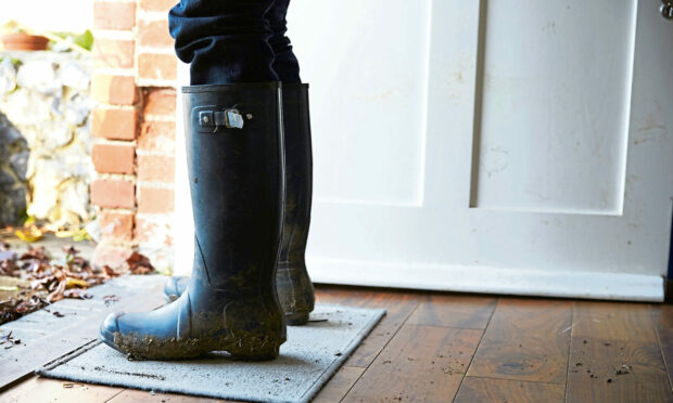 When it comes to wellies, socks are the gold top.