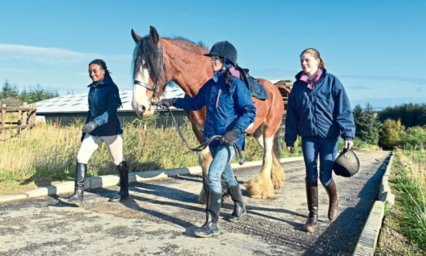 Gayle leads retired police horse Lauder back to his field flanked by groom Yola Brunier and yard manager Mel Foley. Picture: Jason Hedges.