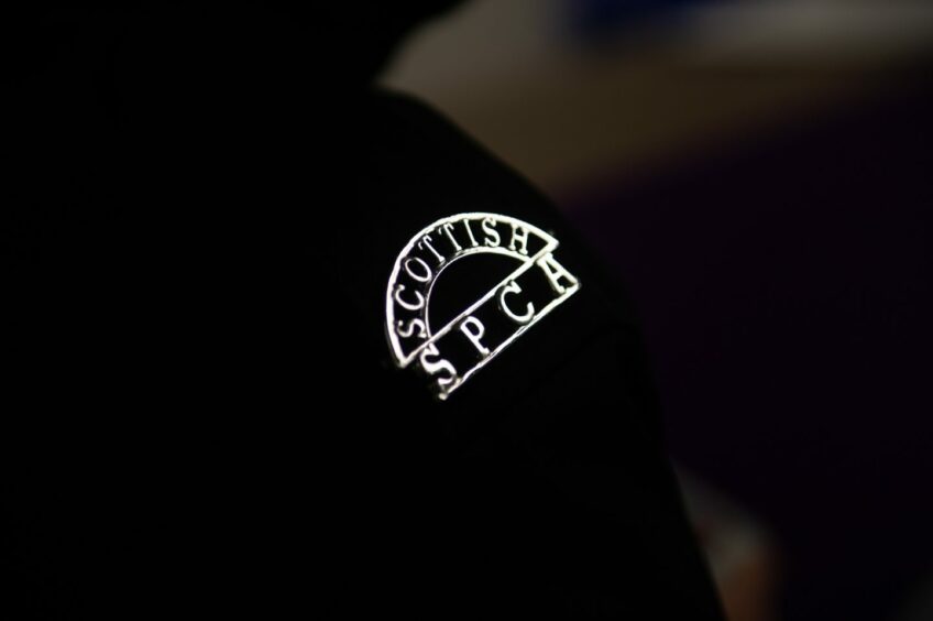 A Scottish SPCA badge on the shoulder of a staff member