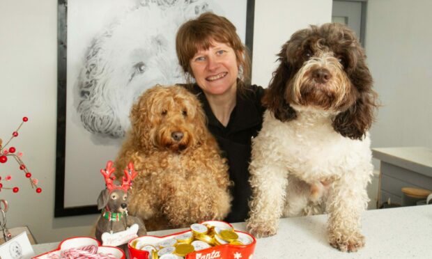 Arlene Millar, owner of Henry and Co, with her cockapoos Henry and Cooper.