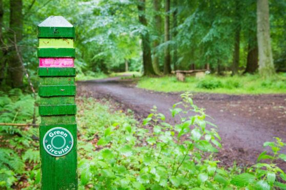 Templeton Woods in Dundee.