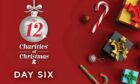 12 Charities of Christmas – BBS UK