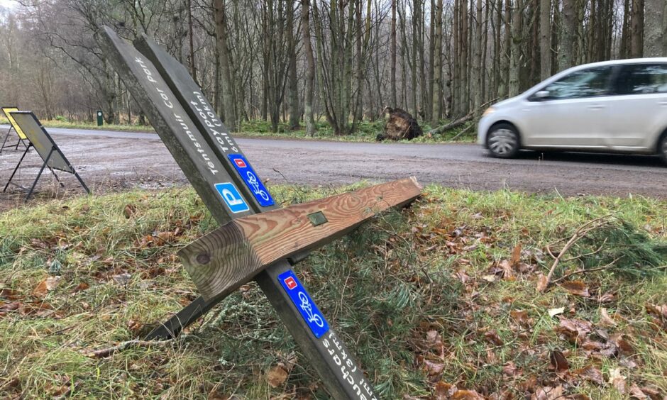 damaged woodland
