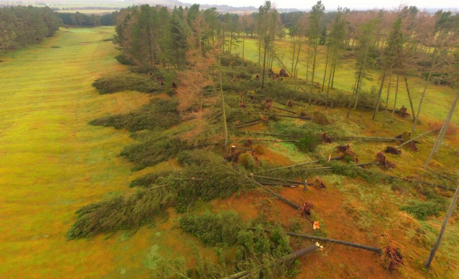 Forfar golf club