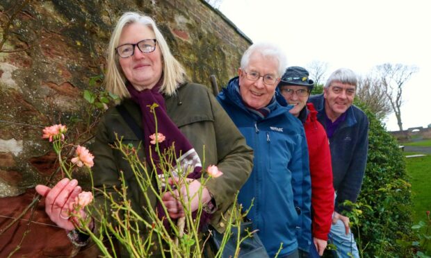 Friends group members Gillian Milne, Nicol Millar, Alan Watson and Gregor McGillivray in the Springfield rose garden. Pic: Gareth Jennings/DCT Media.