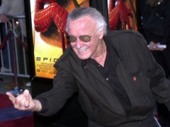 Stan Lee has died aged 95 (Matt Sayles/AP)