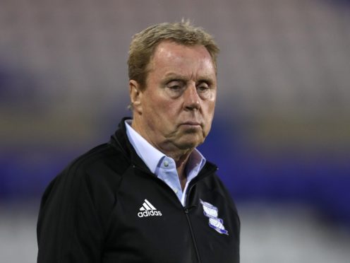 Harry Redknapp will take on the Deadly Dash Bushtucker Trial (David Davies/PA)