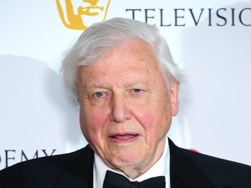 Sir David Attenborough has revealed he ‘cries more easily nowadays’ as he discussed the emotional reaction to his latest wildlife programme (Ian West/PA)