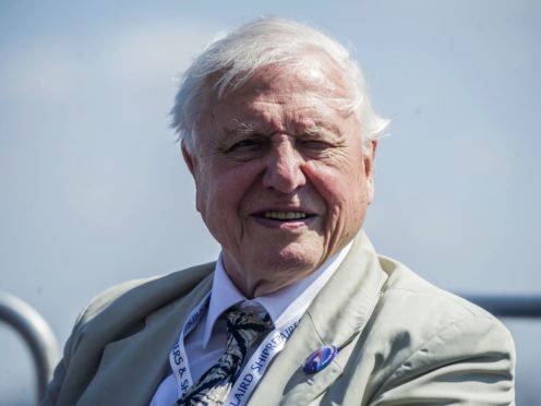 Sir David Attenborough (Peter Byrne/PA)