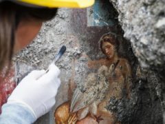 An archeologist cleans up the fresco Leda And The Swan (Cesare Abbate/Ansa/AP)