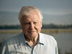 Sir David Attenborough is hosting new BBC series Dynasties (BBC NHU/Nick Lyons/PA)