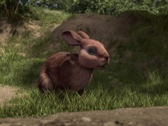 The new adaptation of Watership Down features an all-star cast (BBC)