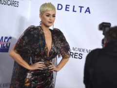 Katy Perry made a swift apology (Jordan Strauss/AP)