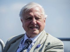Sir David Attenborough was missed by viewers (Peter Byrne/PA)