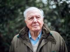 Sir David Attenborough will present the climate change documentary (Polly Alderton/BBC/PA)