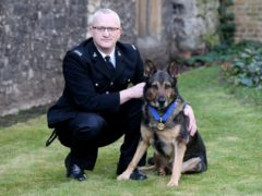 Handler PC Dave Wardell and his retired police dog Finn (Jonathan Brady/PA)