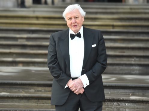 Sir David Attenborough offers a stark warning in Climate Change: The Truth (Kirsty O’Connor/PA)