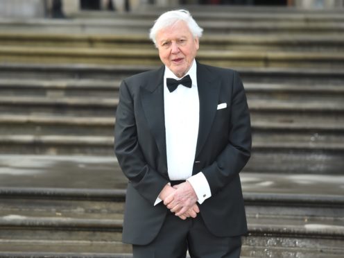 Sir David turned 93 on Wednesday (Kirsty O’Connor/PA)