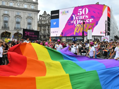 Members of the public watch during the Pride in London Parade (Dominic Lipinski/PA)