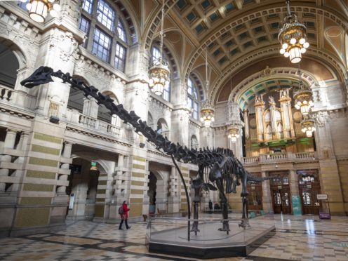 Dippy, the Natural History Museum’s famous diplodocus skeleton (Jane Barlow/PA)