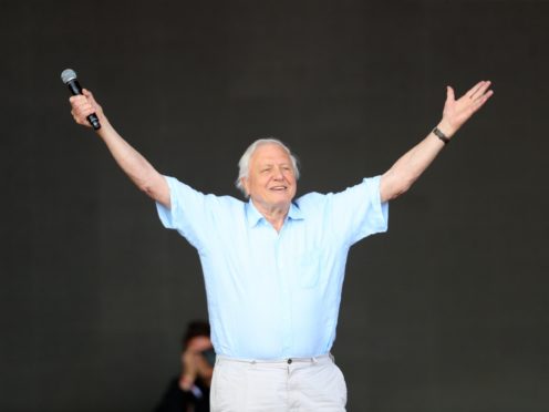 Sir David Attenborough (Aaron Chown/PA)