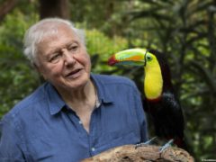 Sir David Attenborough will present Life In Colour (PA)