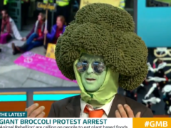 Man dressed as broccoli interviewed on Good Morning Britain (Good Morning Britain/ITV)