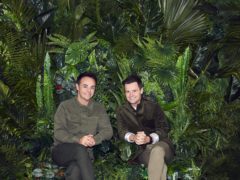Ant McPartlin and Declan Donnelly are back in the jungle. (ITV/PA)