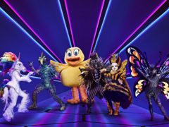 Unicorn, Chameleon, Duck, Hedgehog, Queen Bee and Butterfly from The Masked Singer (Vincent Dolman/ITV/PA)