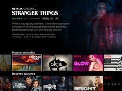 Stranger Things on Netflix (Netflix/PA)