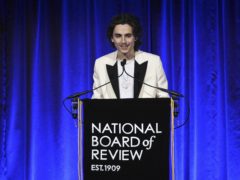 Timothee Chalamet at the National Board of Review Awards gala (Evan Agostini/Invision/AP)