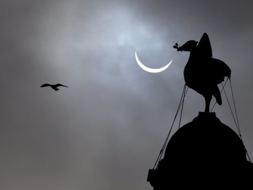 A Liver Bird on the Royal Liver building in Liverpool (Peter Byrne/PA)