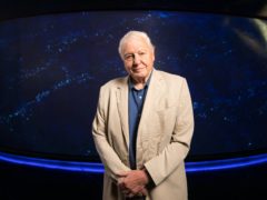 Sir David Attenborough (David Parry/PA)